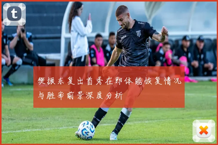 樊振东复出首秀在即体能恢复情况与胜率前景深度分析